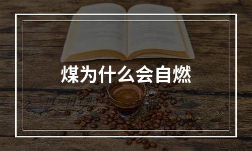 煤为什么会自燃