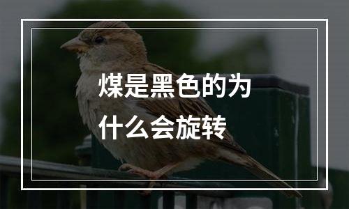 煤是黑色的为什么会旋转