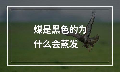 煤是黑色的为什么会蒸发