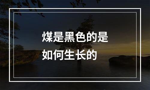 煤是黑色的是如何生长的