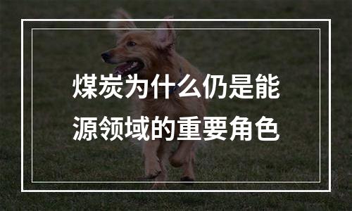 煤炭为什么仍是能源领域的重要角色
