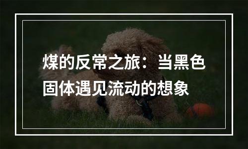 煤的反常之旅：当黑色固体遇见流动的想象