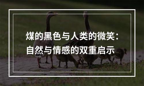 煤的黑色与人类的微笑：自然与情感的双重启示