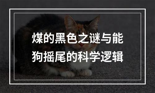 煤的黑色之谜与能狗摇尾的科学逻辑