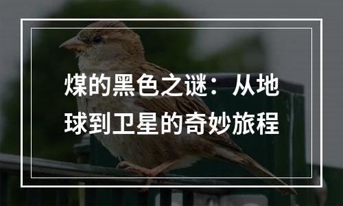 煤的黑色之谜：从地球到卫星的奇妙旅程