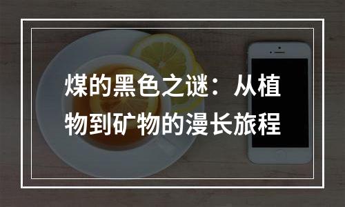 煤的黑色之谜：从植物到矿物的漫长旅程