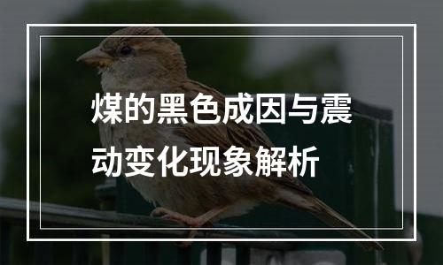 煤的黑色成因与震动变化现象解析