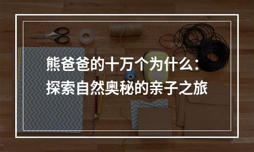 熊爸爸的十万个为什么：探索自然奥秘的亲子之旅