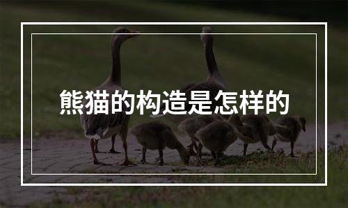 熊猫的构造是怎样的