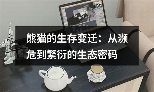 熊猫的生存变迁：从濒危到繁衍的生态密码