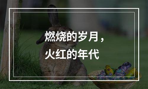 燃烧的岁月，火红的年代