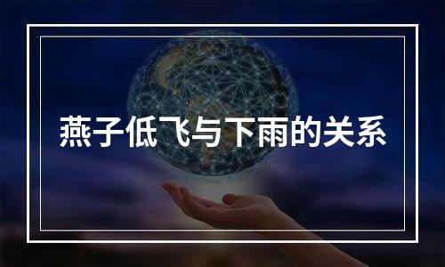 燕子低飞与下雨的关系