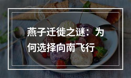 燕子迁徙之谜：为何选择向南飞行