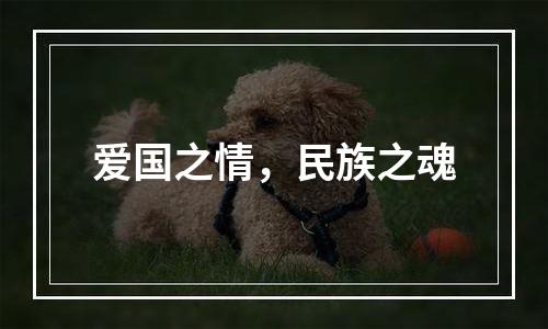 爱国之情，民族之魂