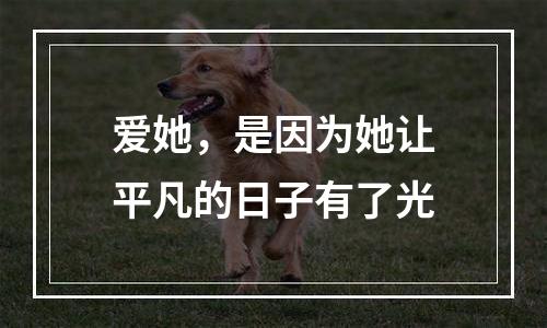 爱她，是因为她让平凡的日子有了光