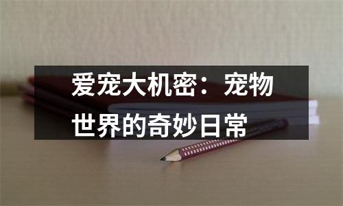 爱宠大机密：宠物世界的奇妙日常