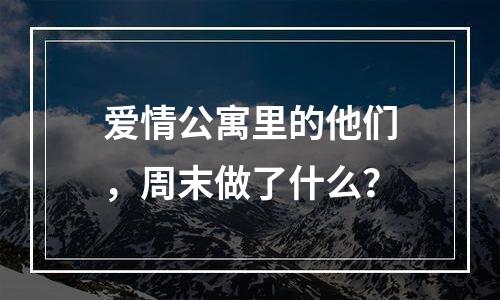 爱情公寓里的他们，周末做了什么？