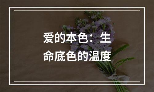 爱的本色：生命底色的温度