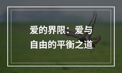 爱的界限：爱与自由的平衡之道