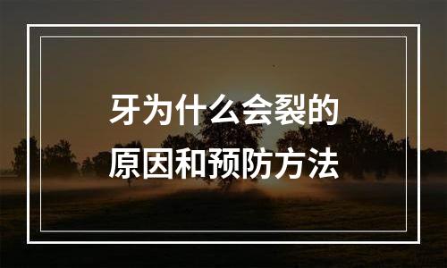 牙为什么会裂的原因和预防方法