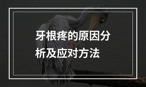 牙根疼的原因分析及应对方法