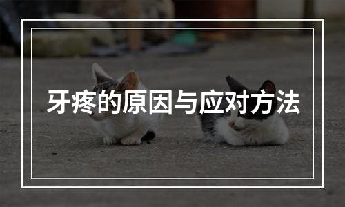牙疼的原因与应对方法
