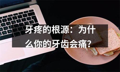 牙疼的根源：为什么你的牙齿会痛？