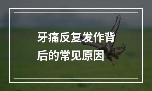 牙痛反复发作背后的常见原因