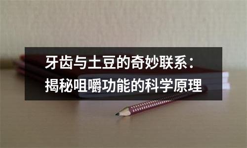 牙齿与土豆的奇妙联系：揭秘咀嚼功能的科学原理