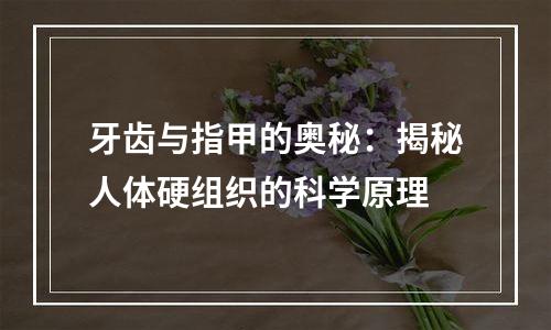 牙齿与指甲的奥秘：揭秘人体硬组织的科学原理