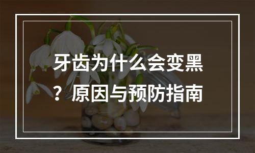 牙齿为什么会变黑？原因与预防指南