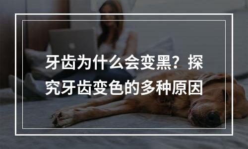 牙齿为什么会变黑？探究牙齿变色的多种原因