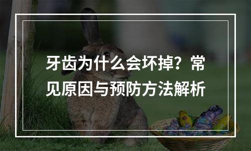牙齿为什么会坏掉？常见原因与预防方法解析