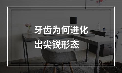 牙齿为何进化出尖锐形态