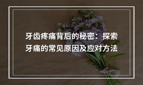 牙齿疼痛背后的秘密：探索牙痛的常见原因及应对方法
