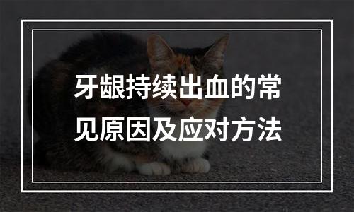 牙龈持续出血的常见原因及应对方法