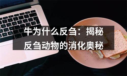 牛为什么反刍：揭秘反刍动物的消化奥秘