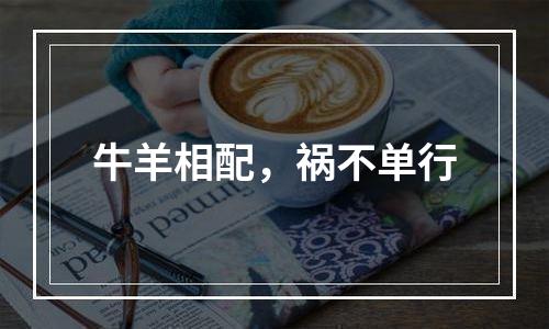 牛羊相配，祸不单行