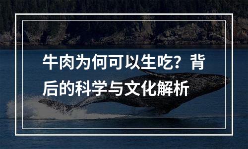牛肉为何可以生吃？背后的科学与文化解析
