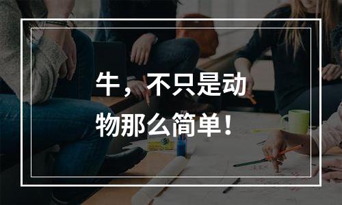 牛，不只是动物那么简单！