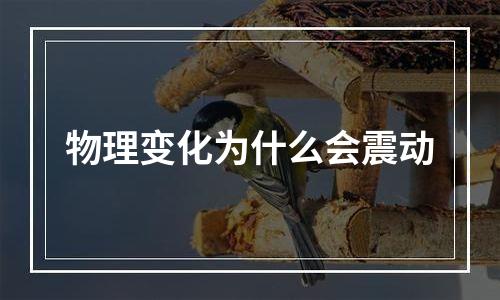 物理变化为什么会震动