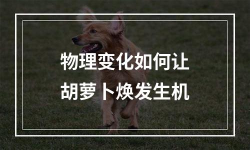 物理变化如何让胡萝卜焕发生机