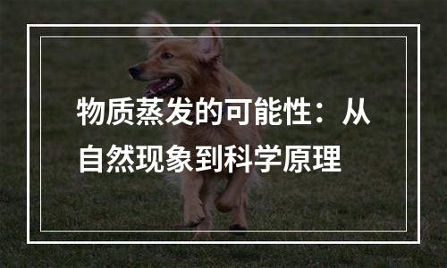 物质蒸发的可能性：从自然现象到科学原理