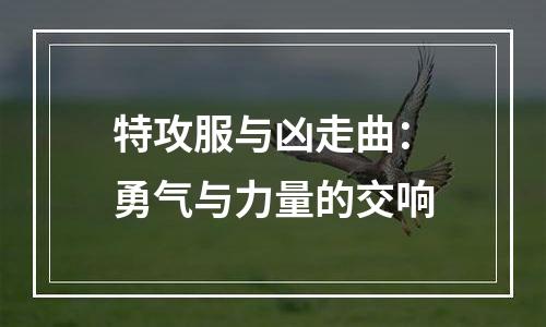 特攻服与凶走曲：勇气与力量的交响
