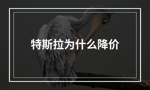 特斯拉为什么降价