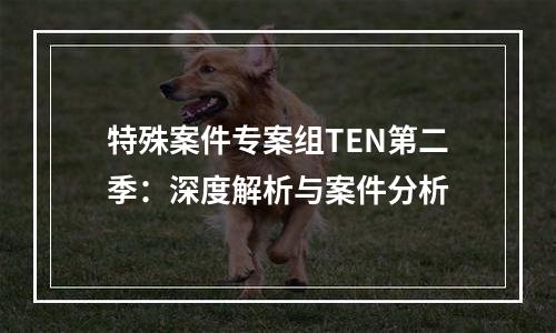 特殊案件专案组TEN第二季：深度解析与案件分析