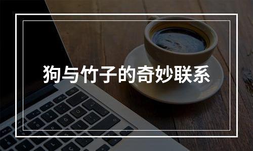 狗与竹子的奇妙联系