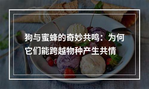 狗与蜜蜂的奇妙共鸣：为何它们能跨越物种产生共情