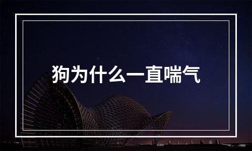 狗为什么一直喘气