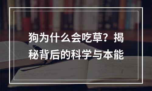 狗为什么会吃草？揭秘背后的科学与本能